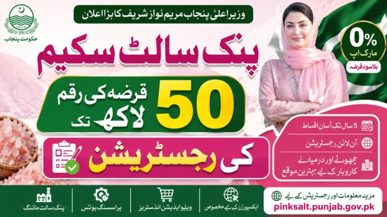 CM Punjab Pink Salt Loan Scheme 2026