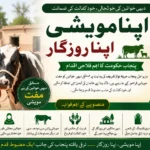 apna-maveshi-apna-rozgar-punjab-free-scheme