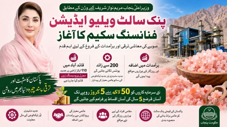 پنجاب میں پنک سالٹ انڈسٹری کے لیے بڑا اقدام، نئی فنانسنگ سکیم سے سرمایہ کاروں کو آسان قرضے